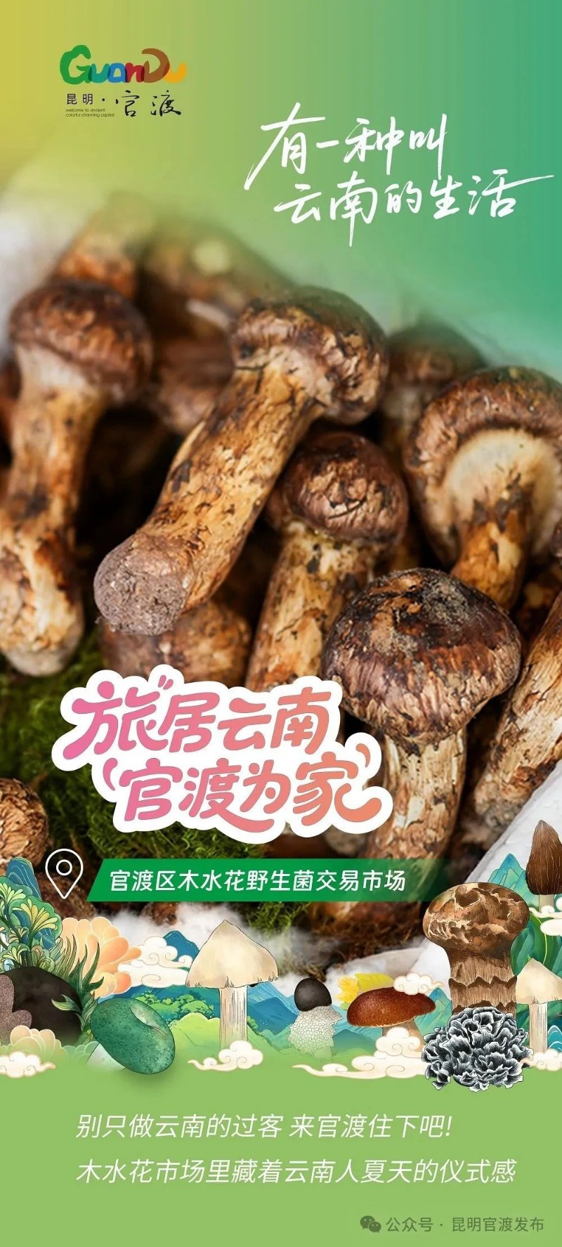 野生菌1.jpg
