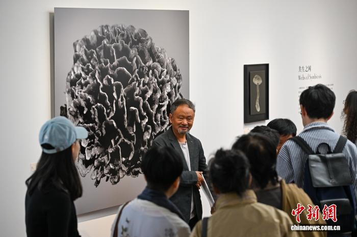 “原本自然”第二回展覽亮相昆明探索博物藝術(shù)新可能