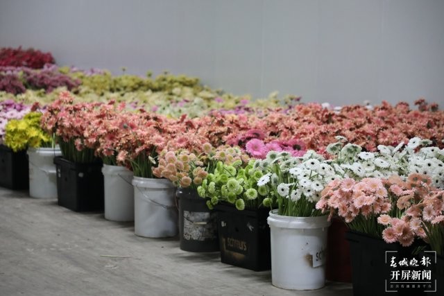 剛剛采摘的鮮花 邱美華攝 2025年7月18日.JPG