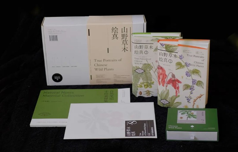 圖片