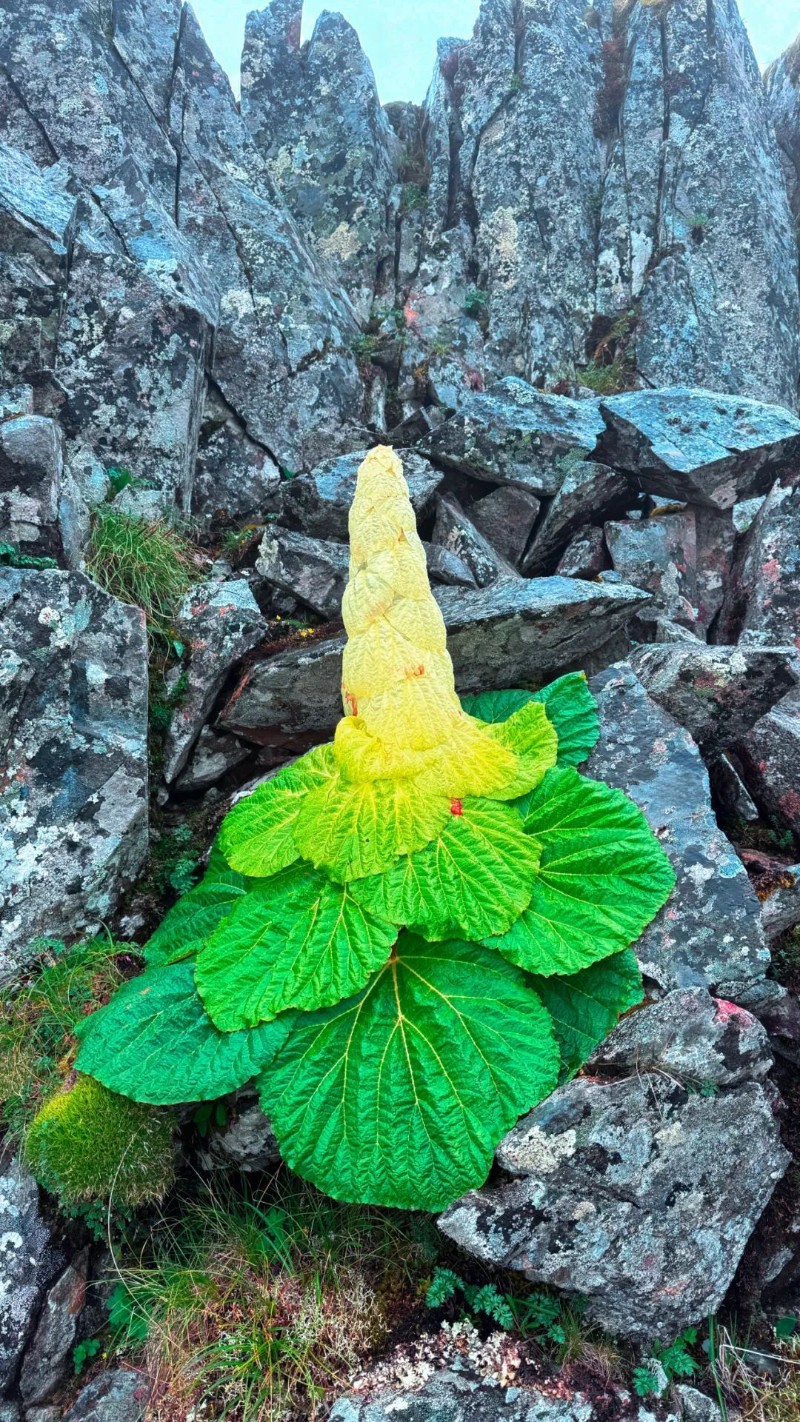 黃興能 和曉燕 攝