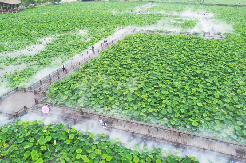 避暑客在麒麟水鄉(xiāng)游玩。楊俊鵬 攝
