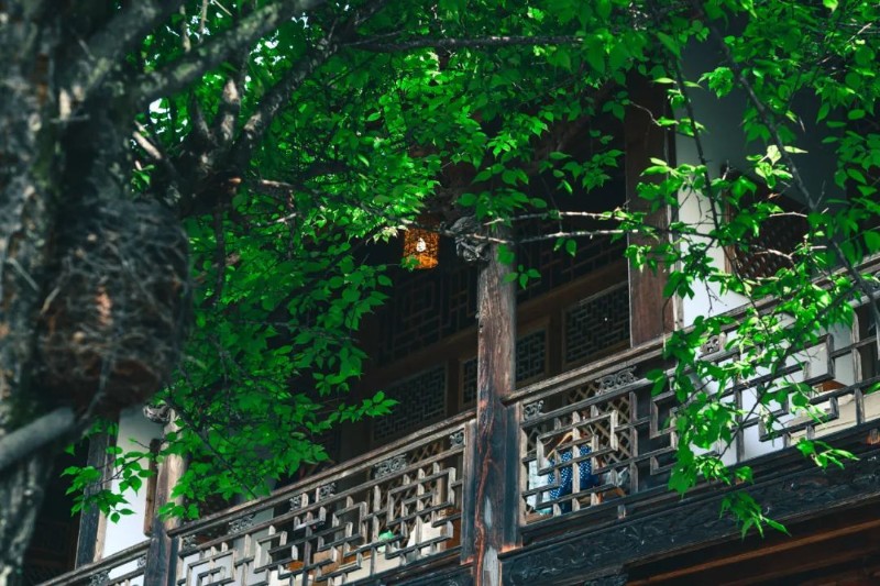 龔德濤 攝
