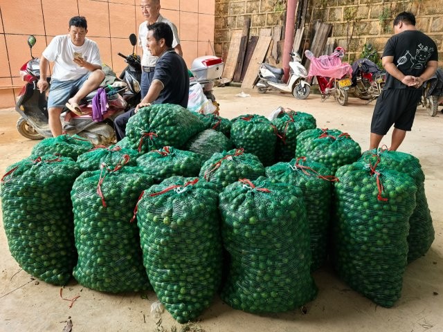 堅果交易市場正在進(jìn)行交易 孫嫡拍攝 (3).jpg