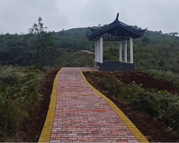 縣林草局---生態(tài)步道觀光亭完工 繪就生態(tài)民生雙贏畫卷(2025年第39期)99