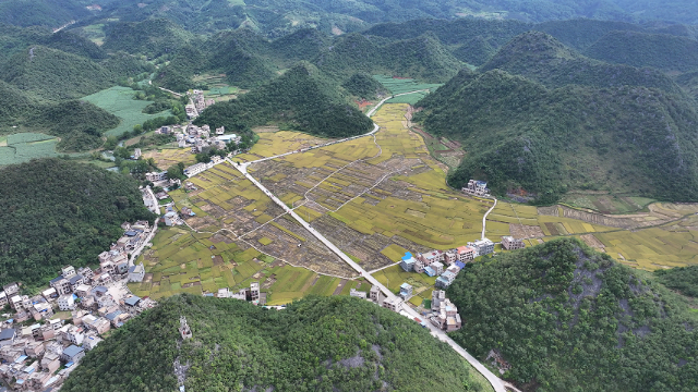廣南縣八寶鎮(zhèn)平豐村稻田。1.png