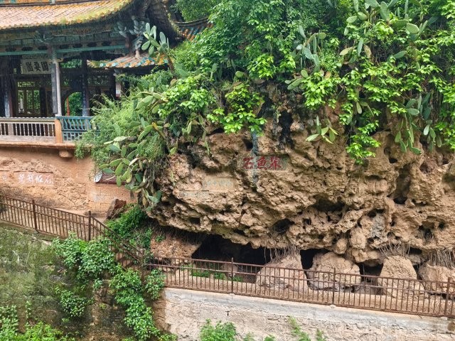 界魚石公園 (1).jpg