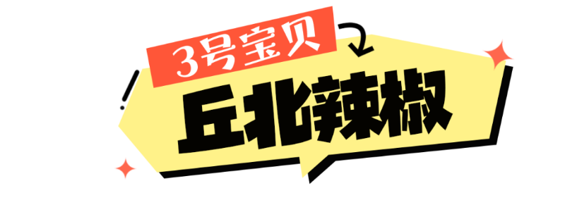畫(huà)板 4 拷貝 2.png