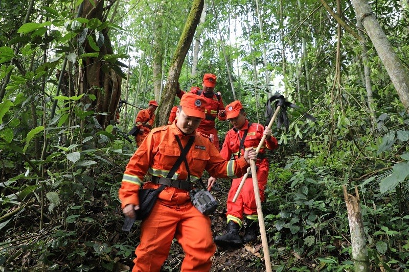 護林員巡山 李思 攝