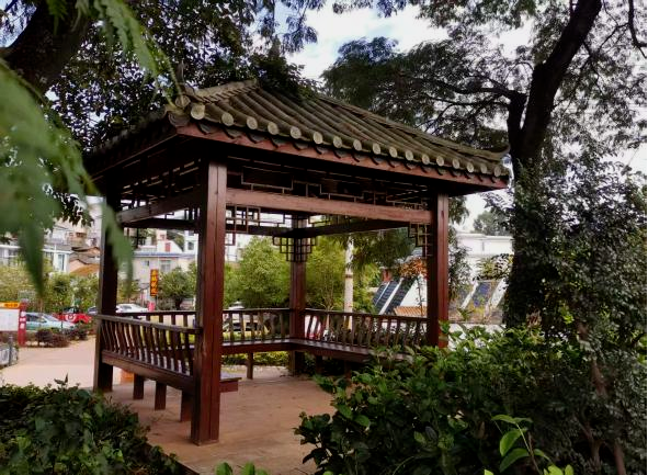 圖片