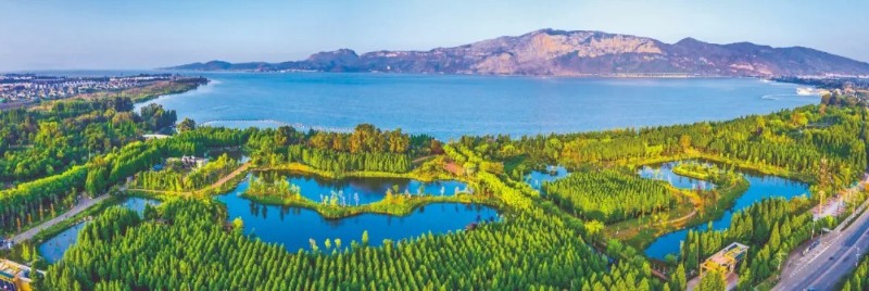 昆明滇池海洪生態濕地。圖源：云南日報