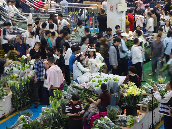 昆明斗南花卉市場熱鬧非凡。人民網記者 李發興攝