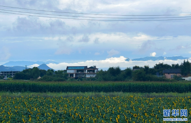 麗江田園風光（9月10日攝）。新華網發（丁凝 攝）