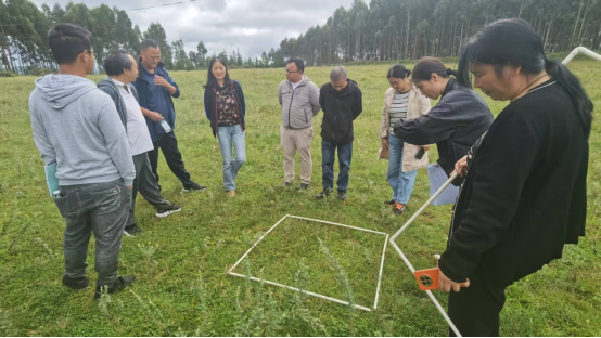 昆明市林草局赴尋甸縣檢查指導2025年草原生態(tài)修復治理項目(2025年第42期)385