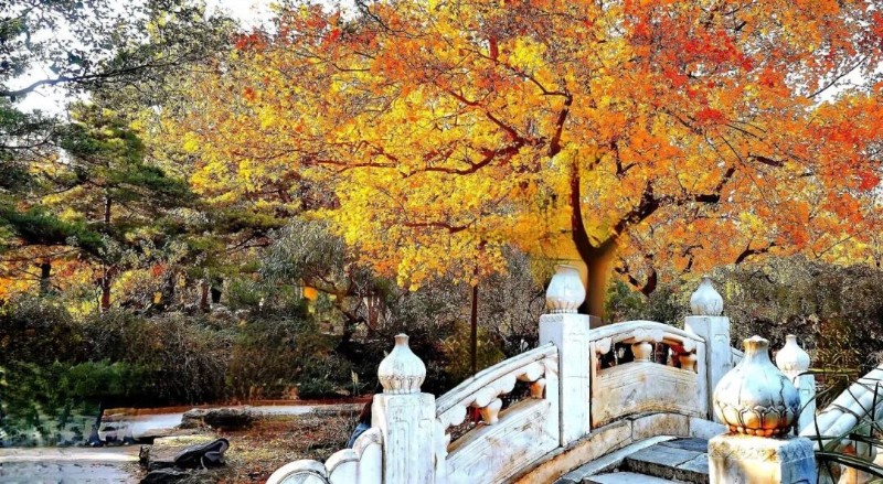 郊野公園3.jpg