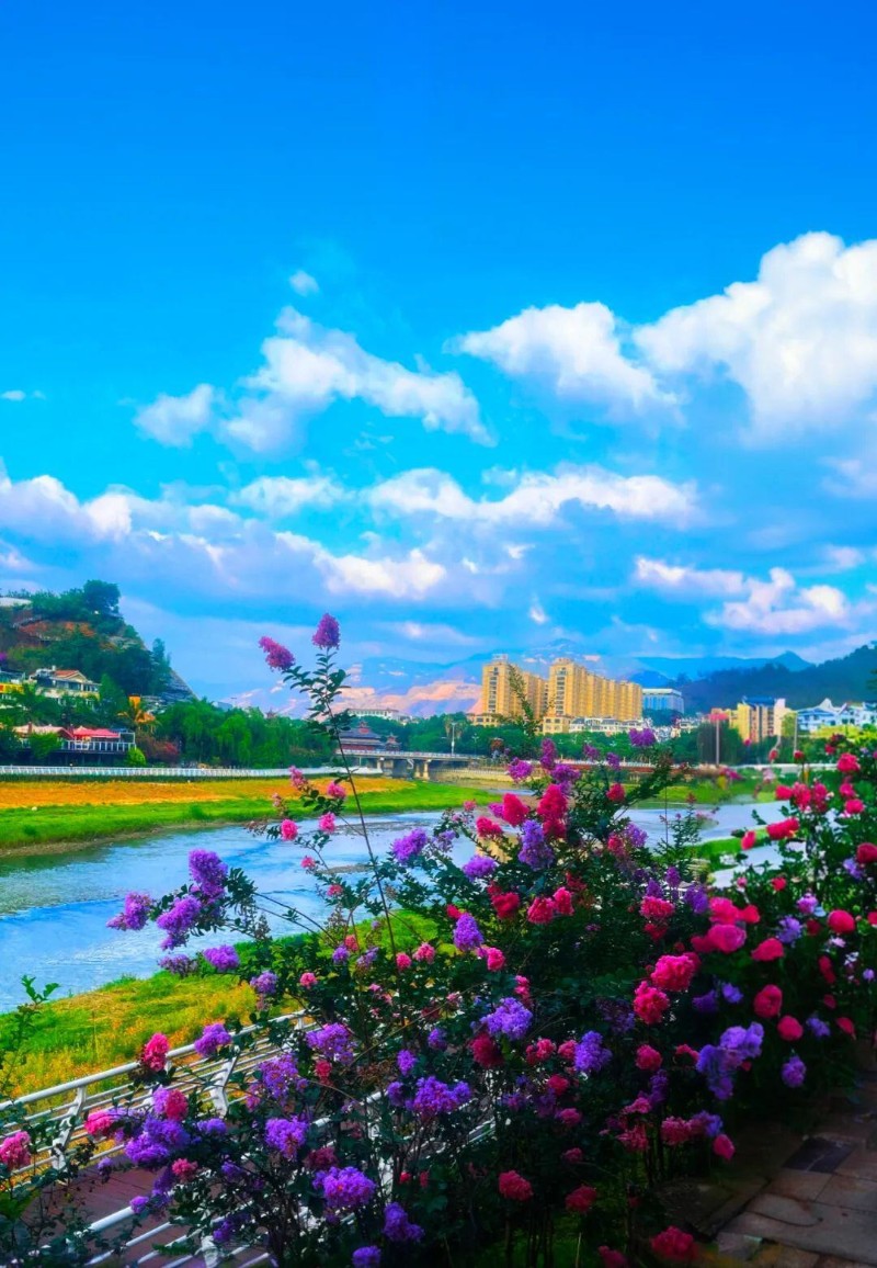 云縣融媒體中心 供圖