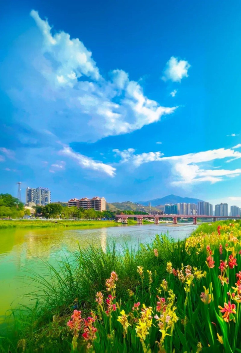 云縣融媒體中心 供圖