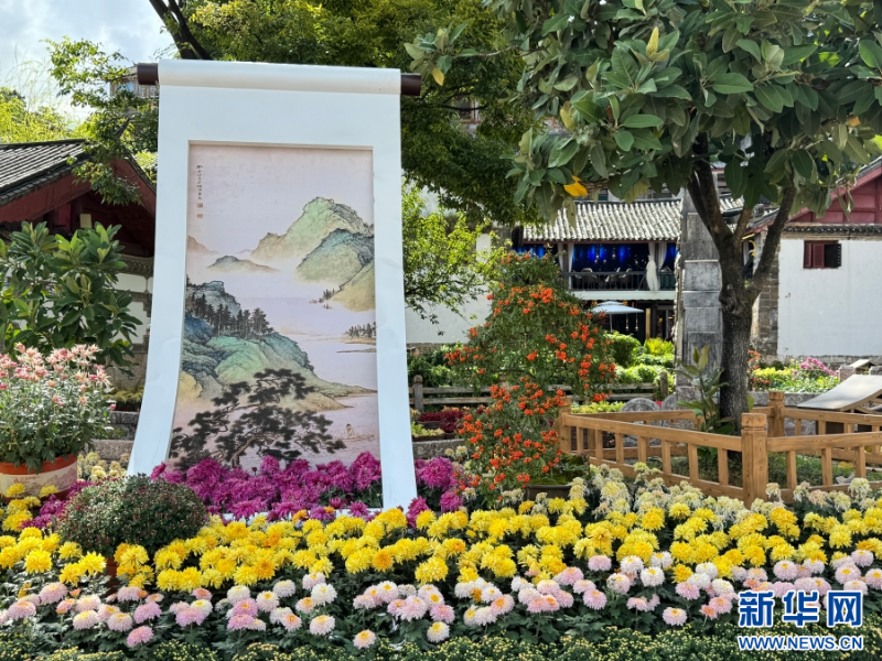 菊花主題造景裝點(diǎn)麗江古城的街巷（9月29日攝）。新華網(wǎng)發(fā)