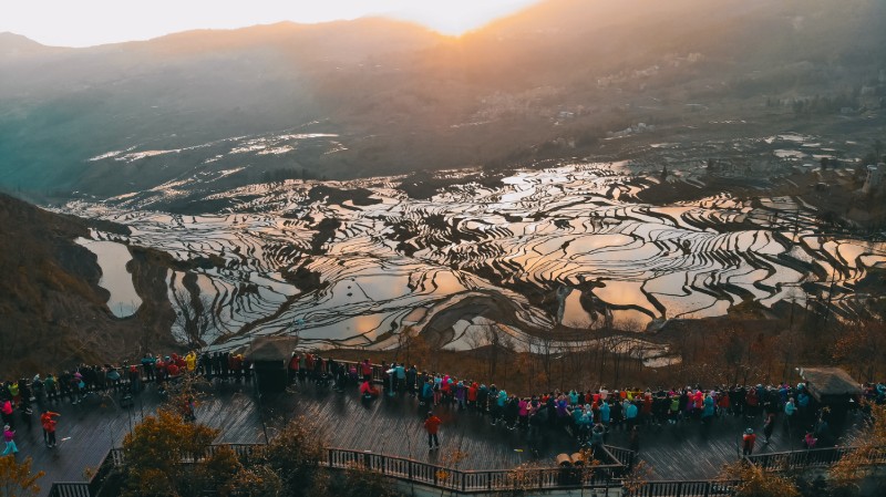 多依樹的早晨 龍俊 攝