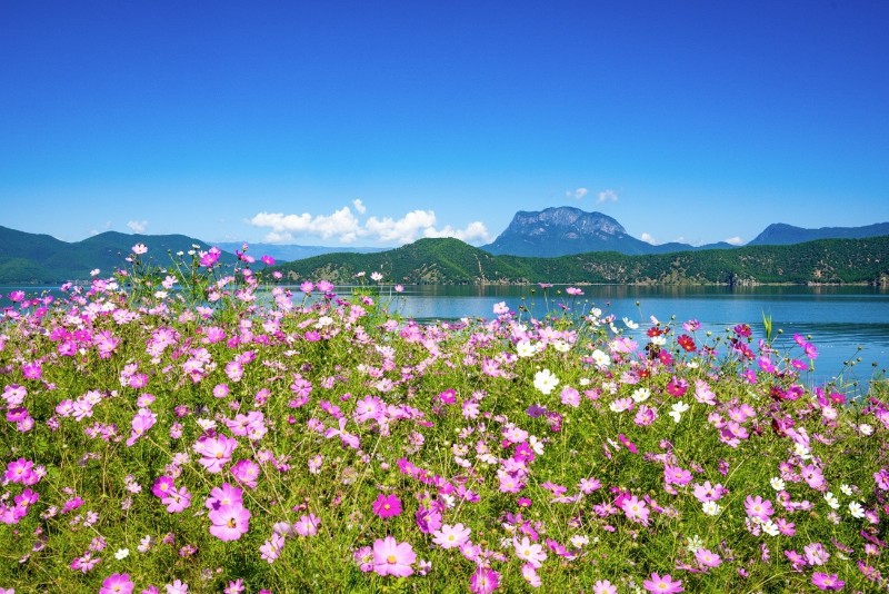 瀘沽湖