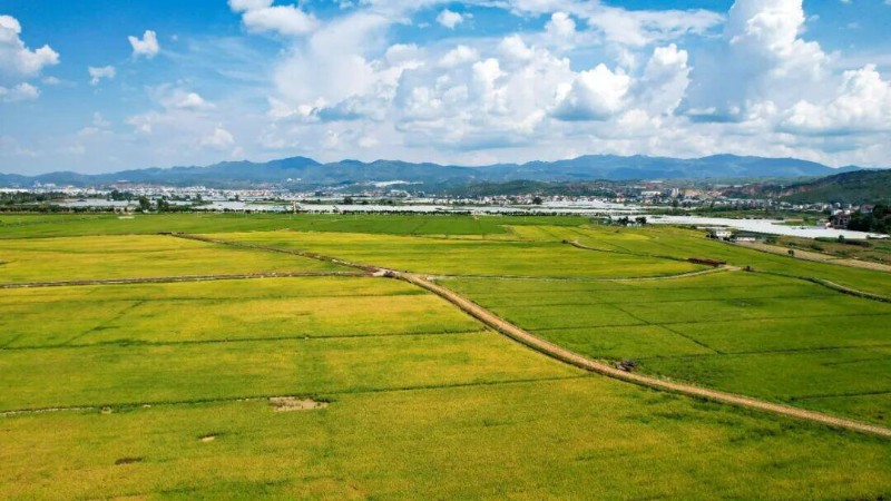 圖源：建水融媒