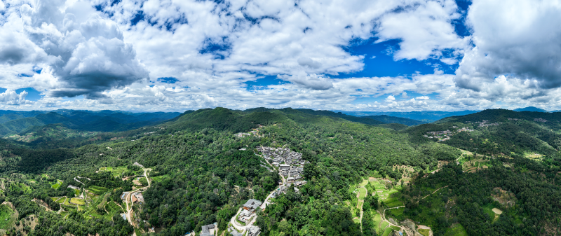 航拍景邁山。邢路揚(yáng) 攝