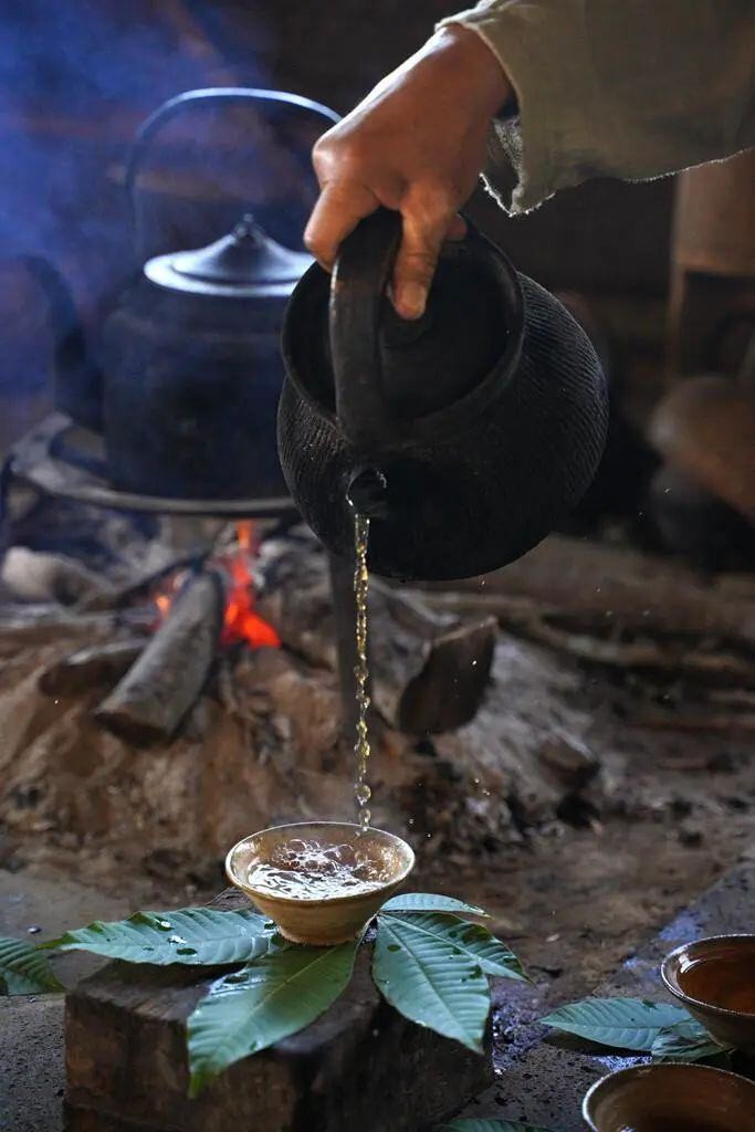 布朗族烤茶。圖源：普洱發(fā)布