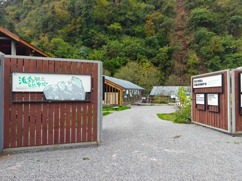 王曉剛 攝