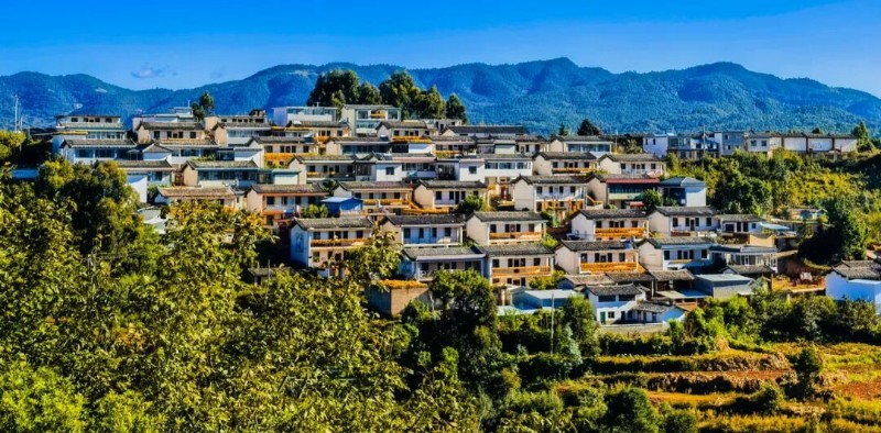 牟定縣臘灣瑪咕彝寨。劉萍 攝