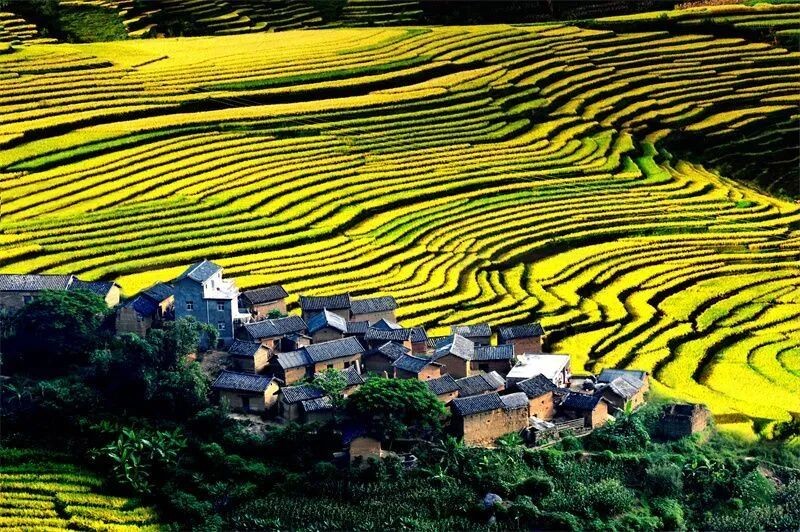 雙柏縣（石咢）嘉梯田