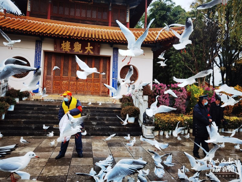 大觀公園供圖3.jpg