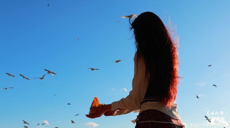 （采訪傳編輯）昆明觀鷗季“海陸空”全方位攻略，記者帶您玩轉(zhuǎn)冬日浪漫，海洪濕地觀鷗1.jpg
