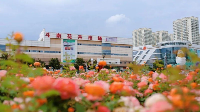 斗南花卉市場(chǎng)