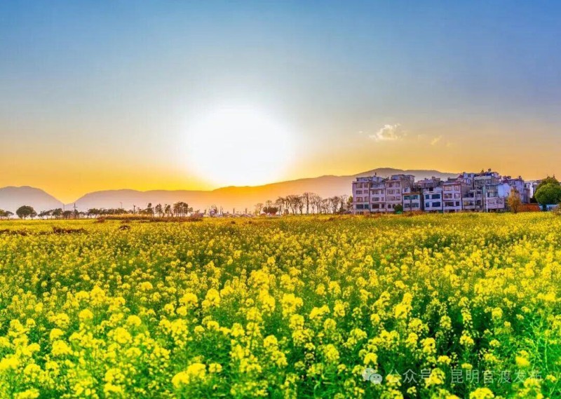 福保村美景