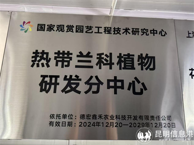 圖片5