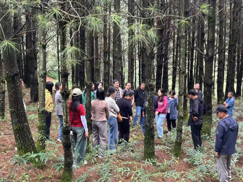 現(xiàn)場(chǎng)觀摩林下中藥材栽培技術(shù)推廣示范基地