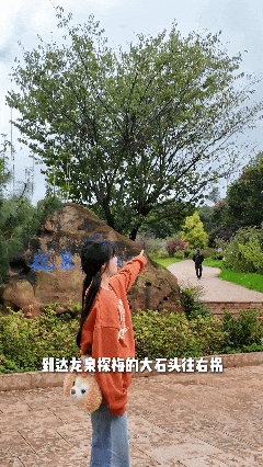10月16日.gif