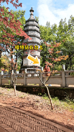 10月16日(1).gif