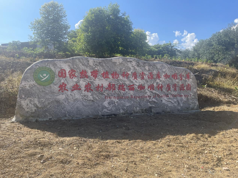 圖片1