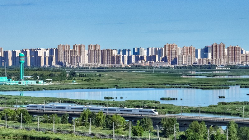 2025年8月17日，一列動(dòng)車組列車駛過(guò)大慶東站。