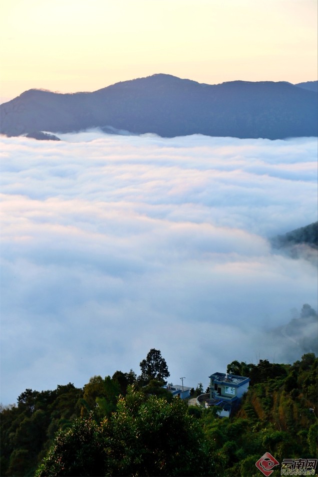 00307471680_31d30b3f