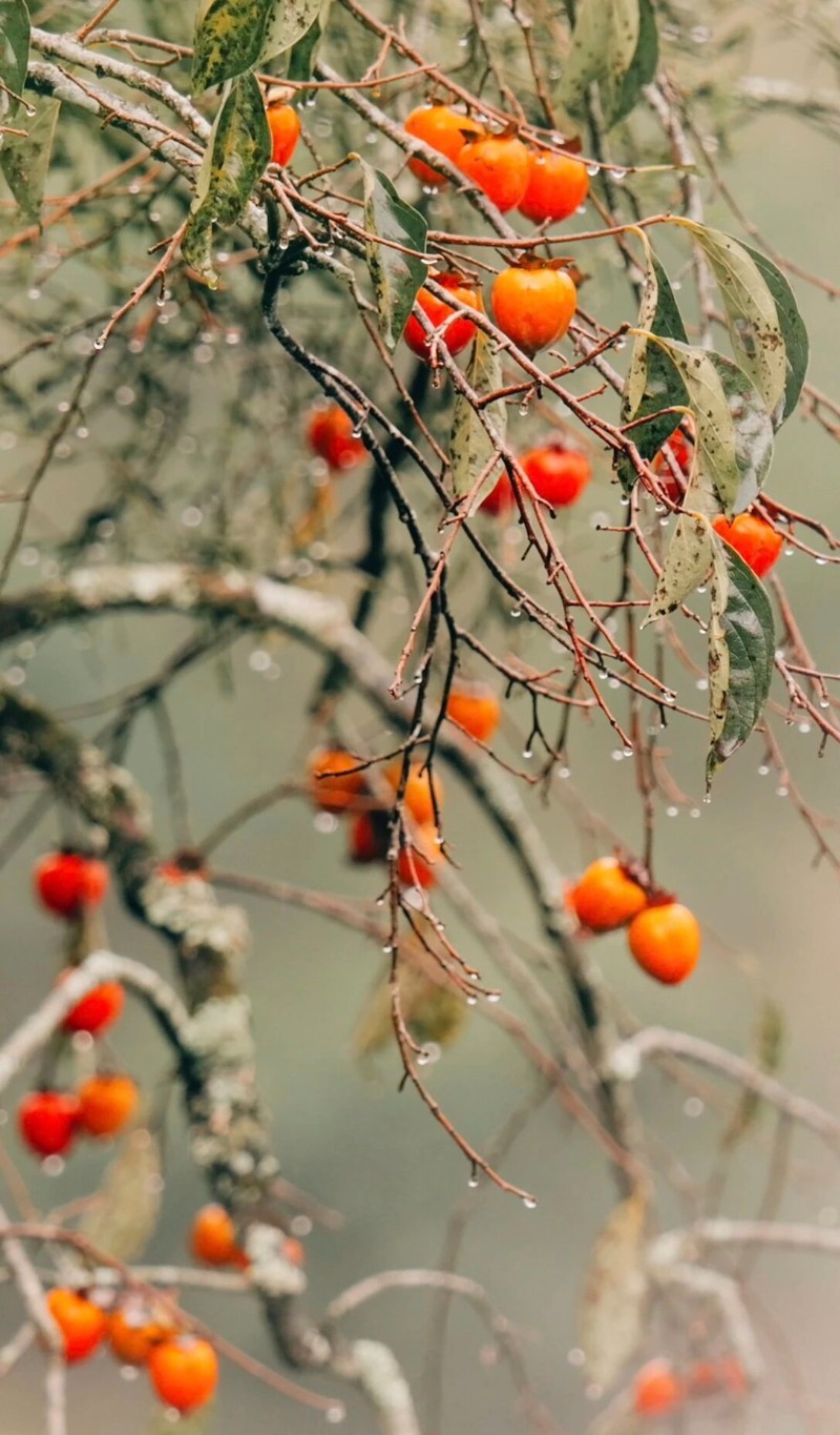 許文娟 韋銀熒 攝