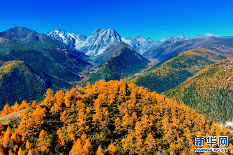 德欽縣山嶺秋色（10月22日攝）。新華網(wǎng)發(fā)（李春雷 攝）