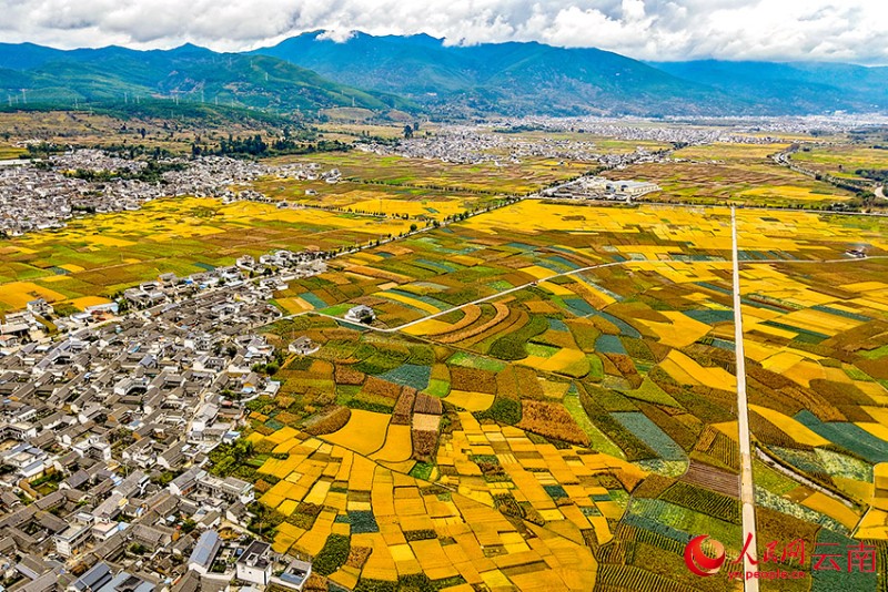 劍湖之畔的田園秋色。施壽昌 攝