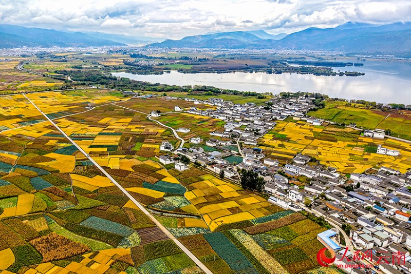 劍湖之畔的田園秋色。施壽昌 攝