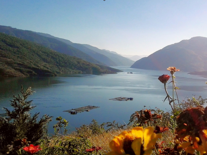 黑惠江鳳慶新華鄉(xiāng)段。圖源：今日臨滄