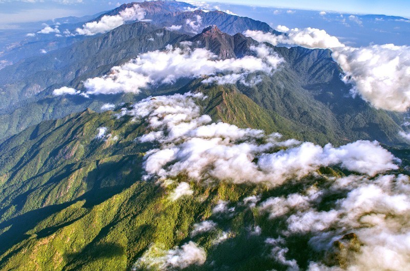 高黎貢山。 供圖