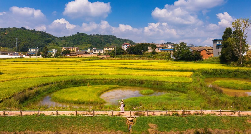 游客在龍華街道紅瓦房村游玩。