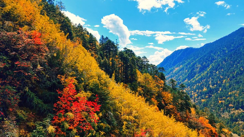 云南怒江塞瓦龍巴牧場