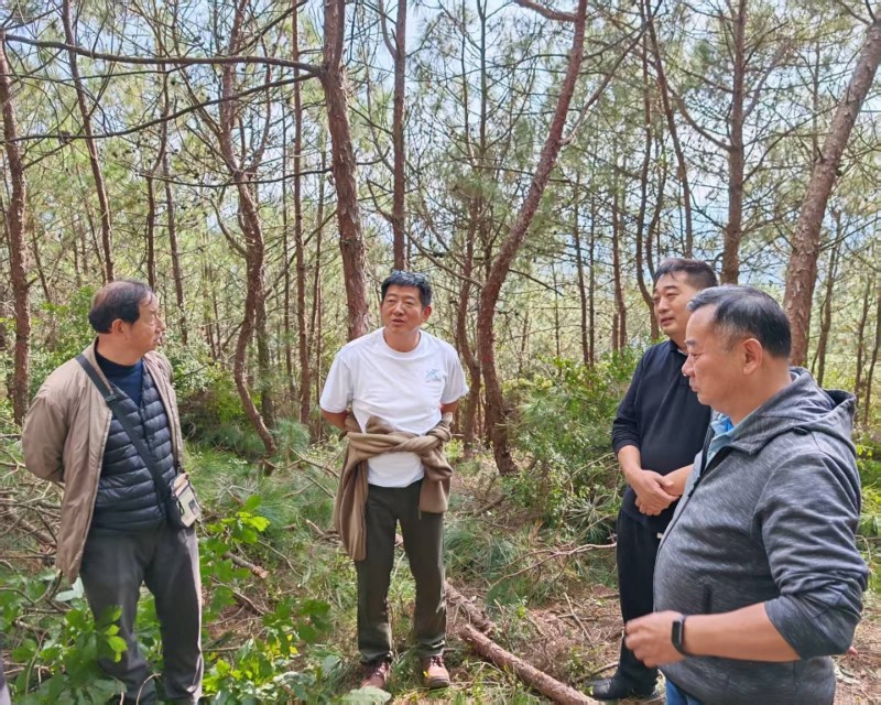 王強(qiáng)副局長(zhǎng)提要求